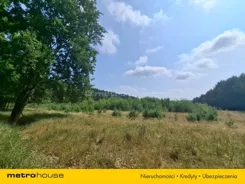 SGKASE532 - zdjęcie nr 4