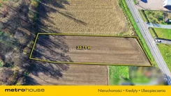SGLIGU951 - zdjęcie nr 0