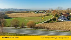 SGFENO556 - zdjęcie nr 1