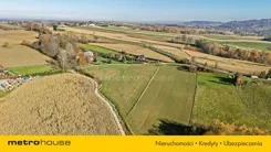 SGFENO556 - zdjęcie nr 2