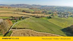 SGFENO556 - zdjęcie nr 3