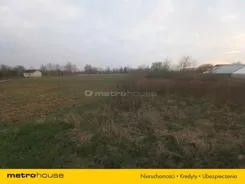 SGJEGE888 - zdjęcie nr 3