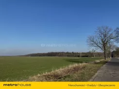 SGZACA586 - zdjęcie nr 2