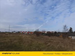 KUNO137 - zdjęcie nr 2
