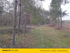 XAZU193 - zdjęcie nr 1