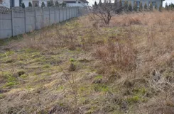 RETE883 - zdjęcie nr 4