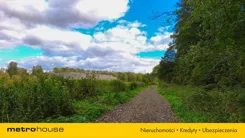 SGHARA859 - zdjęcie nr 4