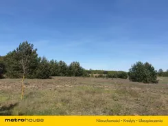 SGVENA164 - zdjęcie nr 4
