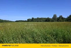 SGRELU145 - zdjęcie nr 0
