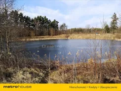 MARO219 - zdjęcie nr 5