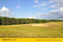 WOFA296 - zdjęcie nr 2