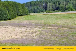 PUJY817 - zdjęcie nr 4