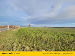 SGNAPA226 - zdjęcie nr 0