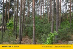 WUHE533 - zdjęcie nr 2