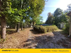 SGVOPI466 - zdjęcie nr 2