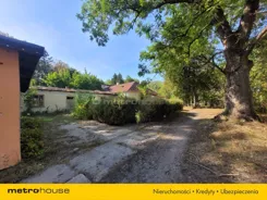 SGVOPI466 - zdjęcie nr 3