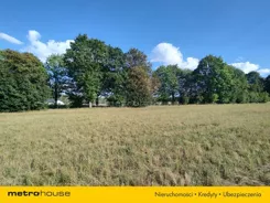 SGGEBO245 - zdjęcie nr 0