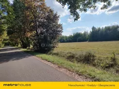 SGGEBO245 - zdjęcie nr 2