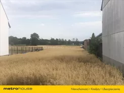 FOJO684 - zdjęcie nr 0