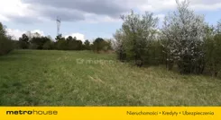 SGCEMO594 - zdjęcie nr 3