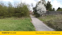 SGCEMO594 - zdjęcie nr 4
