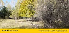 SGDOPY366 - zdjęcie nr 2