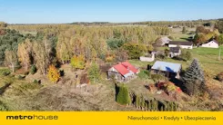 SGDOPY366 - zdjęcie nr 4