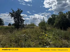 SGZEBI923 - zdjęcie nr 3