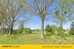 RIXI175 - zdjęcie nr 3