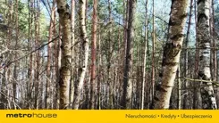 SGNILI465 - zdjęcie nr 0