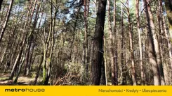 SGNILI465 - zdjęcie nr 2