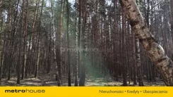 SGNILI465 - zdjęcie nr 3