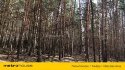 SGNILI465 - zdjęcie nr 4