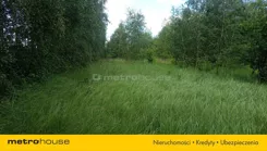SGFIME123 - zdjęcie nr 1