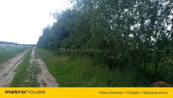 SGFIME123 - zdjęcie nr 3