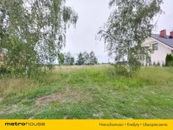 SGZUZI818 - zdjęcie nr 0