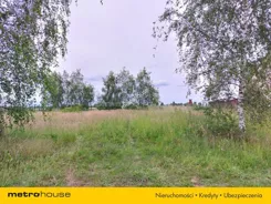 SGZUZI818 - zdjęcie nr 4