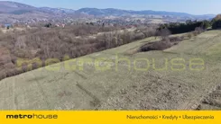 SGNEME993 - zdjęcie nr 0