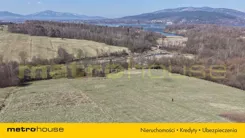 SGNEME993 - zdjęcie nr 2