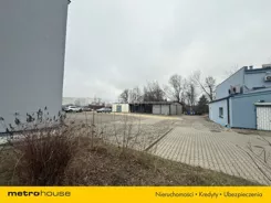 WLPEPY338 - zdjęcie nr 1