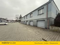 WLPEPY338 - zdjęcie nr 2