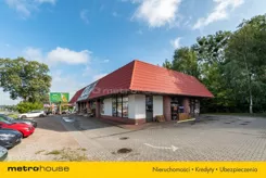 WLGOSE252 - zdjęcie nr 3