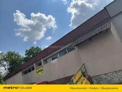 ZIKI229 - zdjęcie nr 0