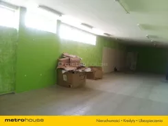 ZIKI229 - zdjęcie nr 2