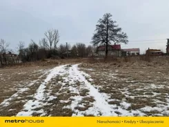 SOZORY824 - zdjęcie nr 3