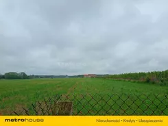 SOSODY488 - zdjęcie nr 2