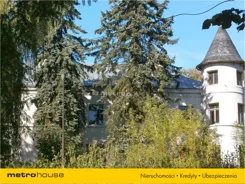HEHU383 - zdjęcie nr 1