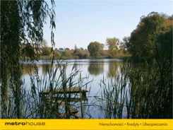 HEHU383 - zdjęcie nr 4