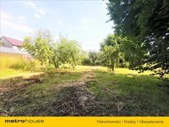 GYGU194 - zdjęcie nr 2