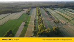 SOJAKO493 - zdjęcie nr 2